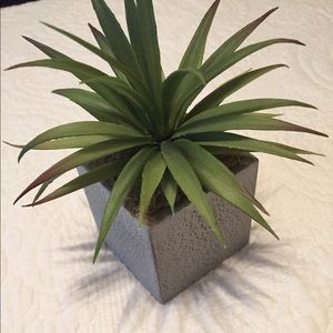 Meet your Posher, Pg